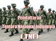 Tentara Nasional Indonesia